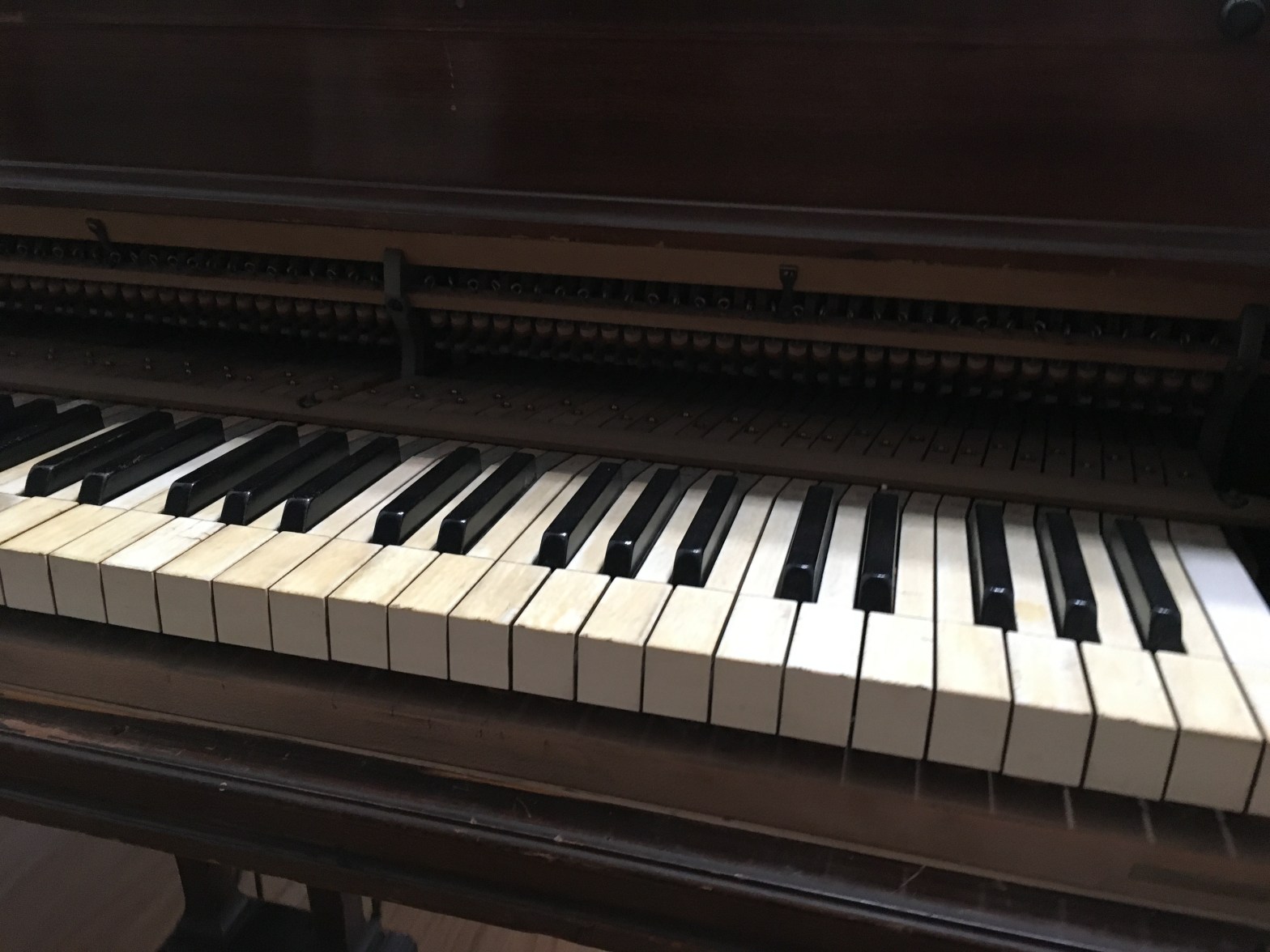 My Grand Baby Grand